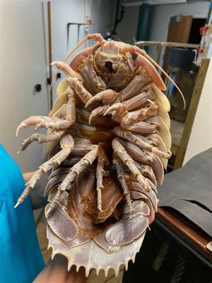  Giant Isopod: A Deep-Sea Creature That Looks Like a Living Fossil!